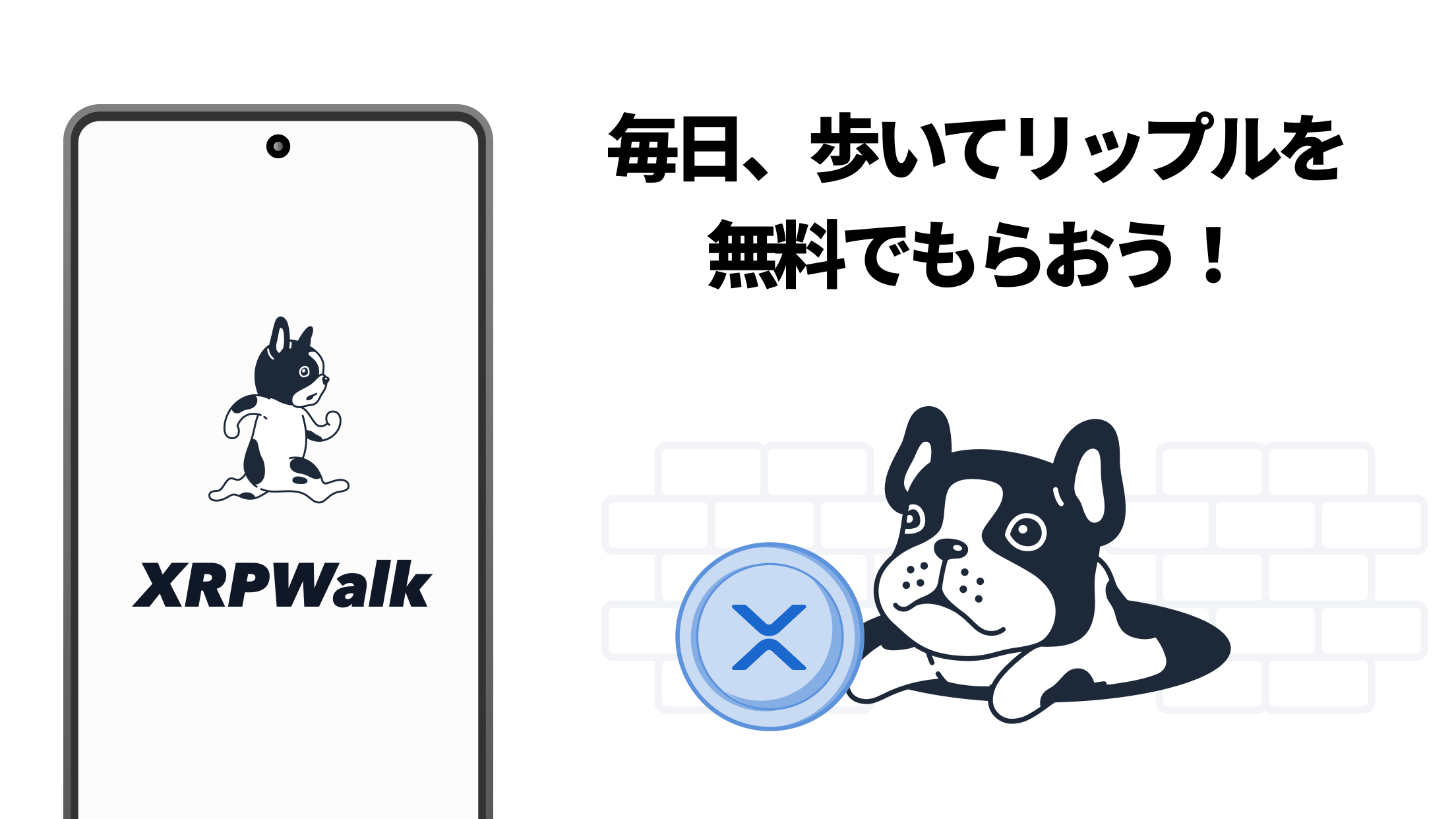 リップルウォーク出金】できない原因＆お得なやり方を初心者向けに解説！ | ぱんだくりぷと