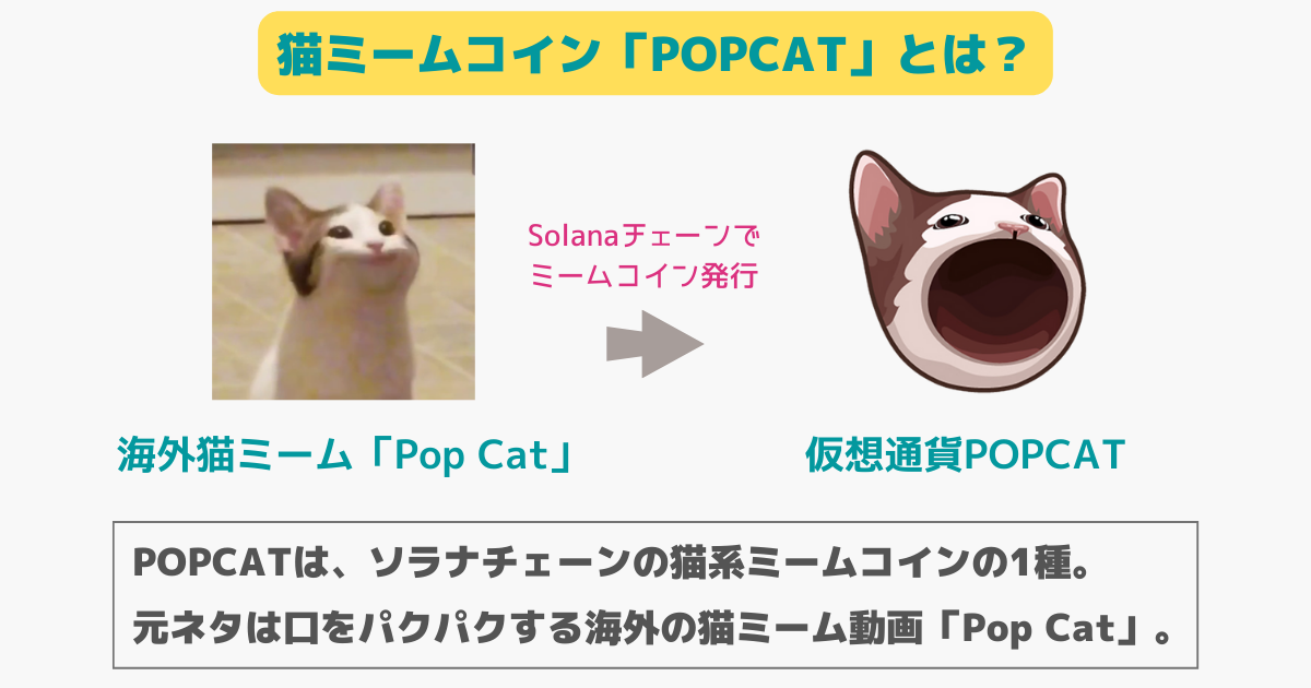 仮想通貨POPCATとは？