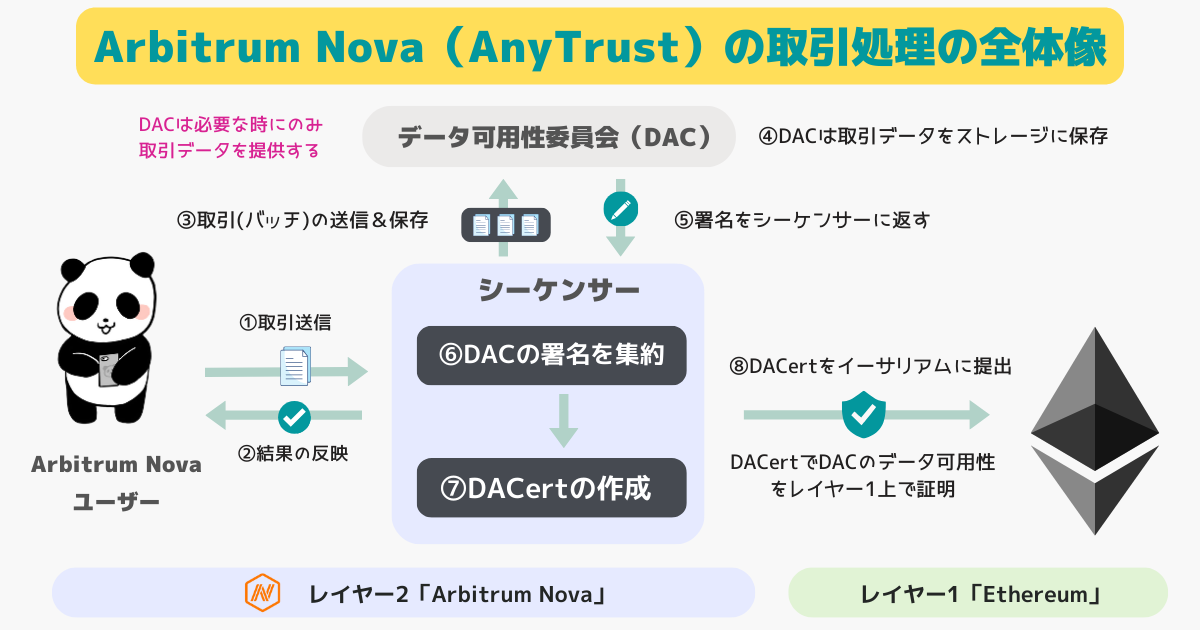 ①Arbitrum Novaユーザが取引を送信。②シーケンサーが受信した取引の順序を決めて実行。③取引データのバッチはデータ可用性委員会(DAC)と呼ばれる別の中央集権的な組織に提出。④DACはバックエンドストレージにデータを保存。⑤署名をシーケンサーが集約しデータ可用性を証明する「DACert」を作成。⑥DACertをイーサリアムに公開